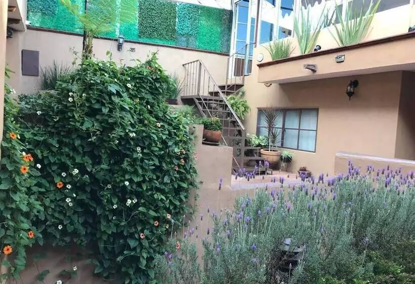 ホテル Casa De Las Escaleras