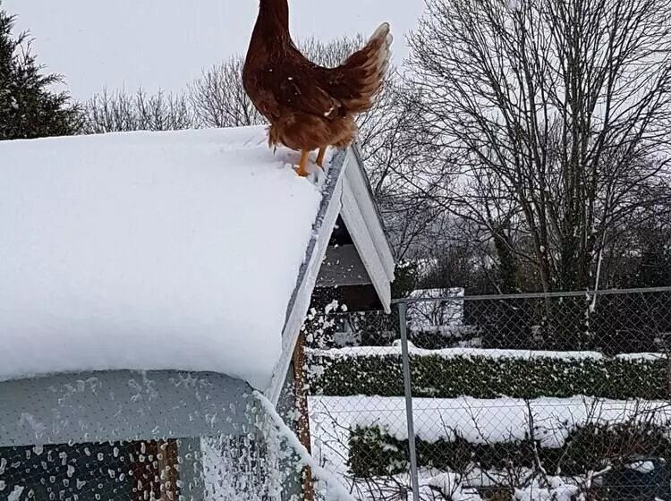 住宿加早餐  Kilcatten Lodge