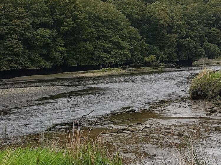 مبيت وإفطار Kilcatten Lodge