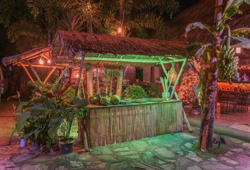 Hotel Acacia Tree Garden