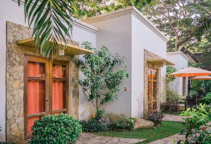 Hotel Acacia Tree Garden