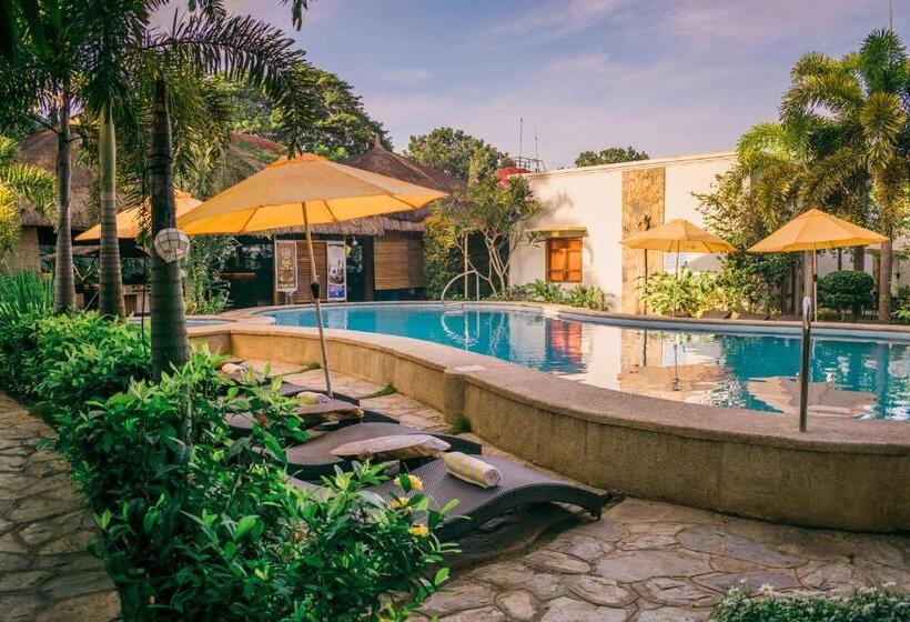 Hotel Acacia Tree Garden