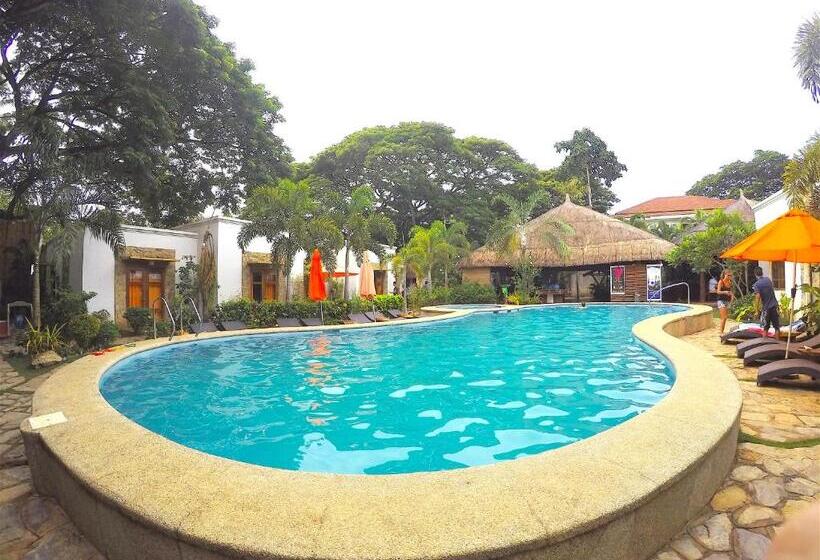 Hotel Acacia Tree Garden