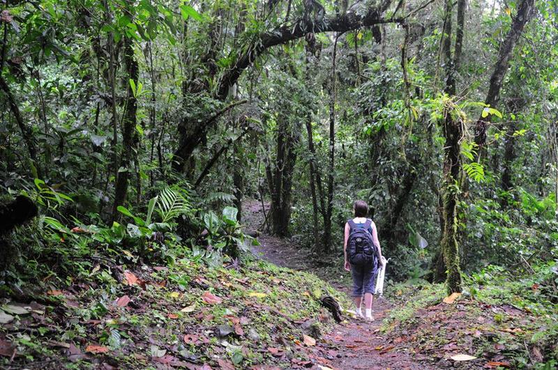 호텔 Arenal Observatory Lodge & Trails