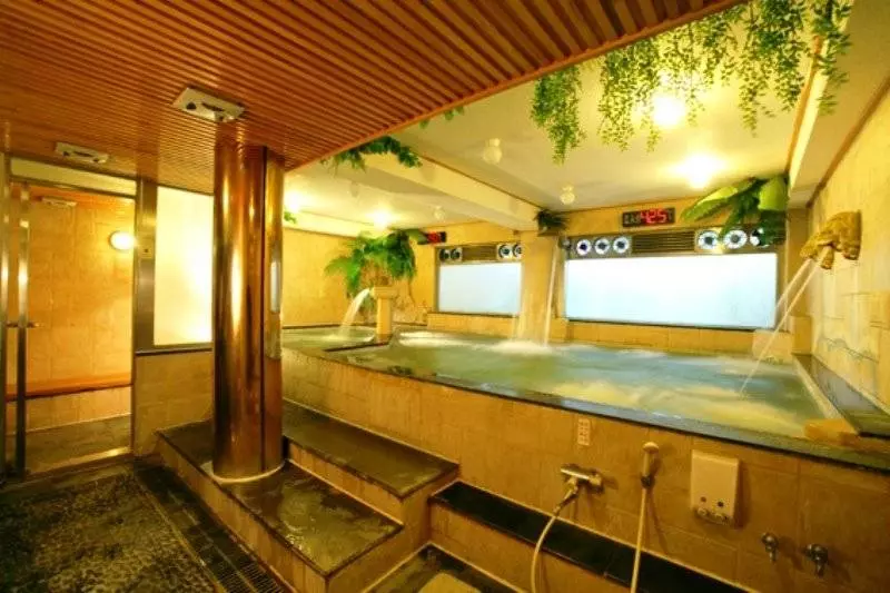 هتل Barons Hot Spring