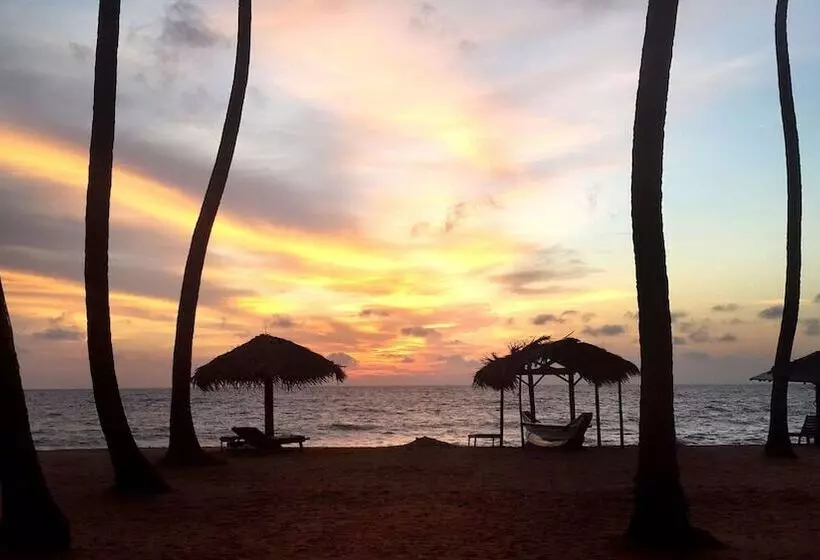 호텔 Carolina Beach Resort & Spa