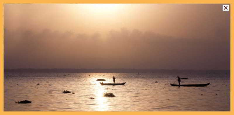 فندق Deshadan Backwater Resort   The Best Sunrise View
