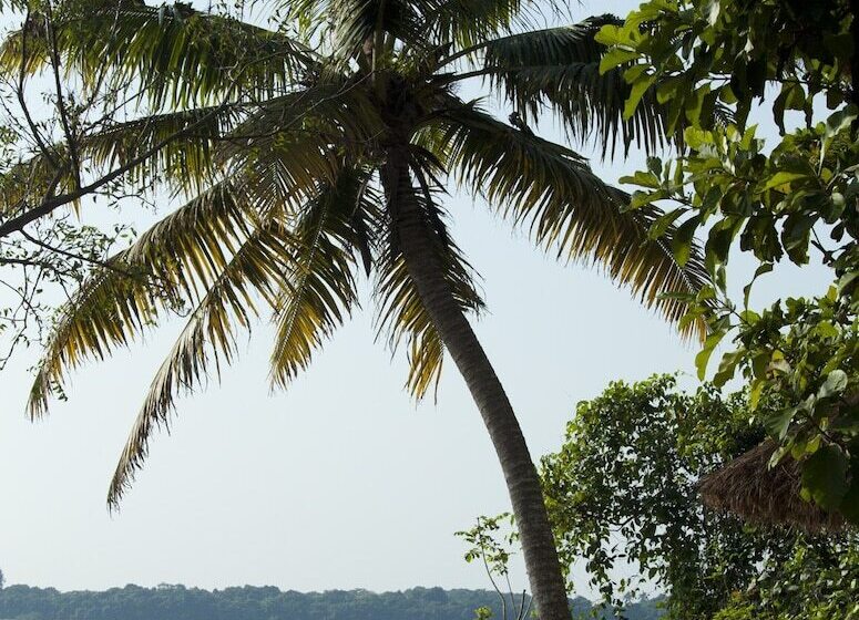 فندق Deshadan Backwater Resort   The Best Sunrise View