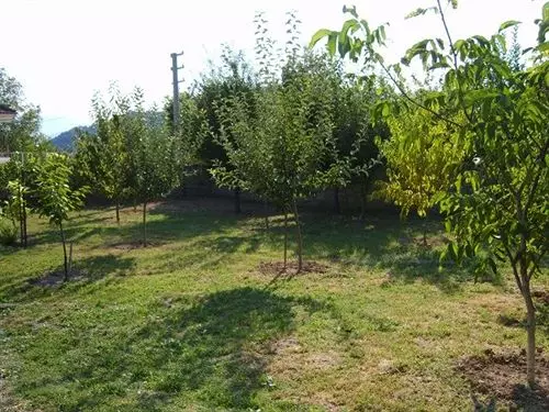 فندق Rasitler Bag Evi