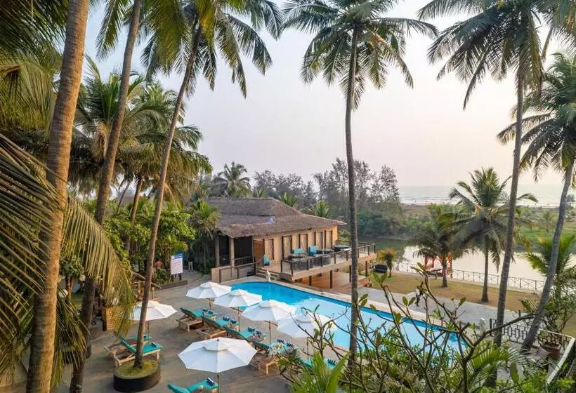 酒店 Riva Beach Resort