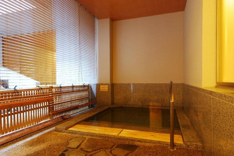 Otel Shoenso Hozugawatei