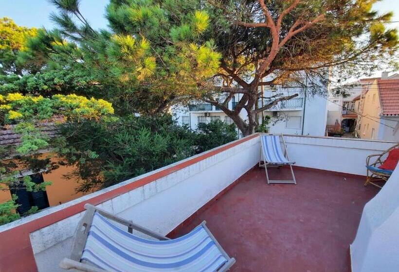 ユースホステル Getwet Surfcamp Ii