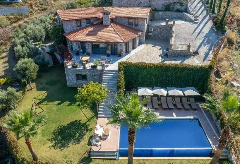 Massi Villa