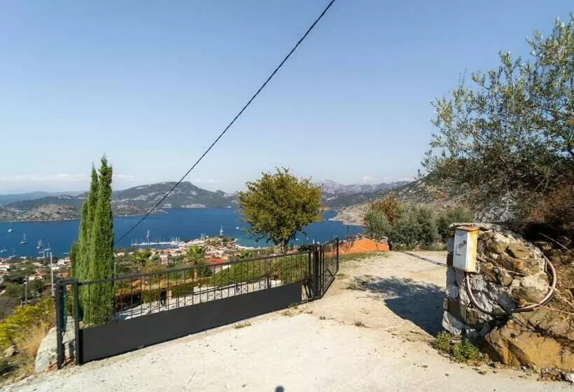 Massi Villa