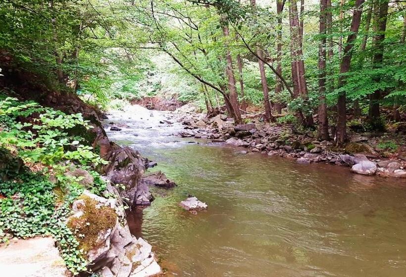 פנסיון Casa Ana