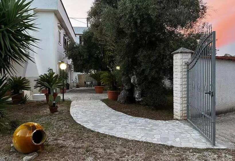 Gli Ulivi Case Vacanze