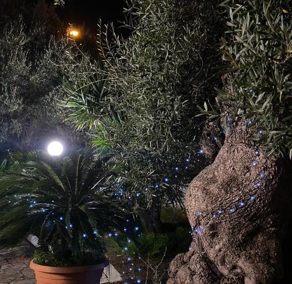 Gli Ulivi Case Vacanze