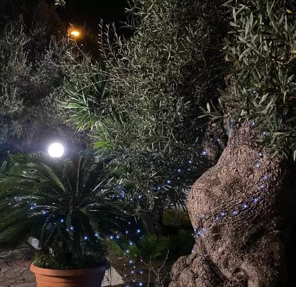 Gli Ulivi Case Vacanze