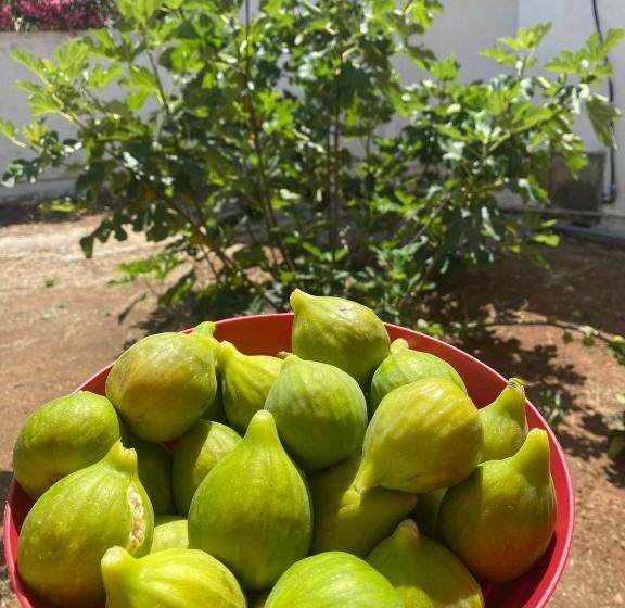 Gli Ulivi Case Vacanze