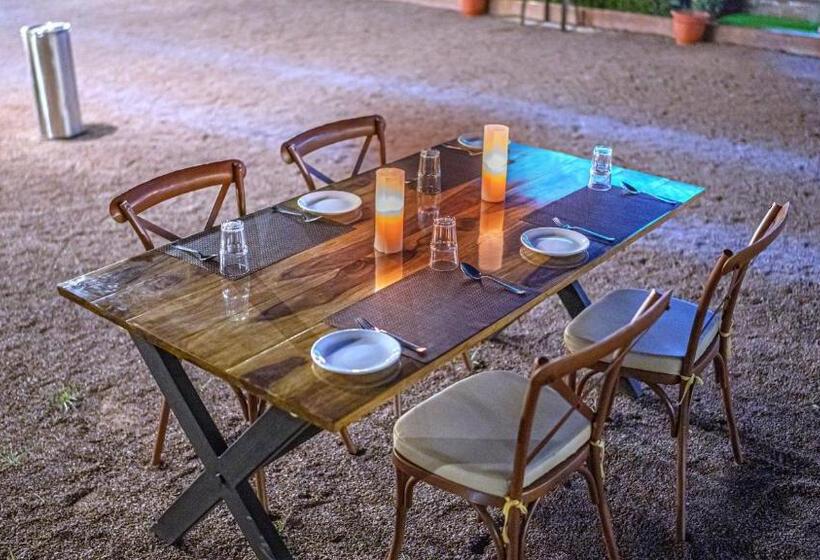 Kurja Resort Balsamand