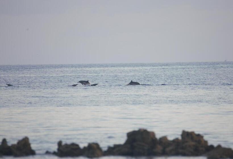 پانسیون Kudhi Boli Beach House