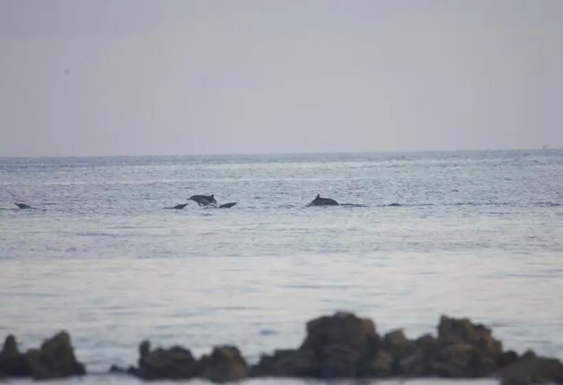 پانسیون Kudhi Boli Beach House