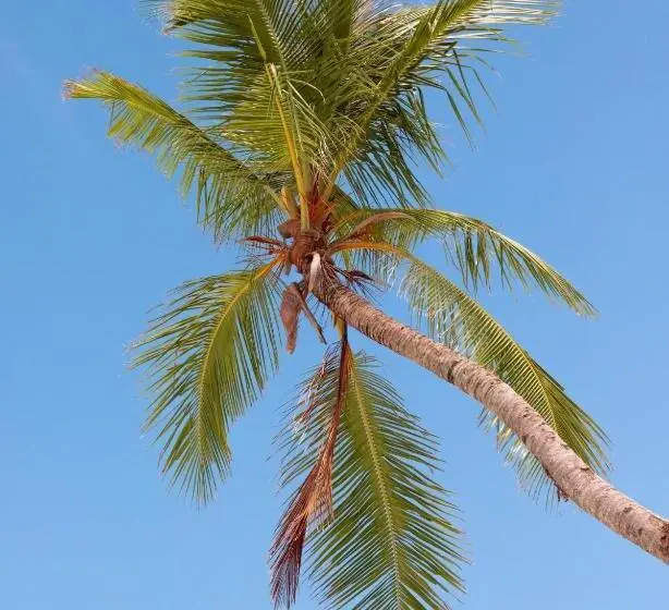 پانسیون Kudhi Boli Beach House