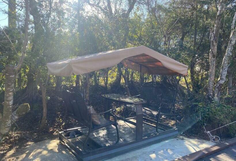 بنسيون One Night, One View, One Destiny   Vacation Stay 05343v