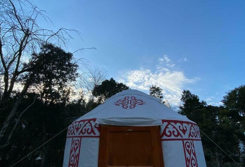 بنسيون One Night, One View, One Destiny   Vacation Stay 05343v