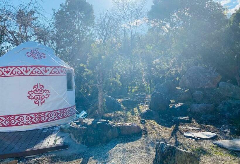 بنسيون One Night, One View, One Destiny   Vacation Stay 05343v