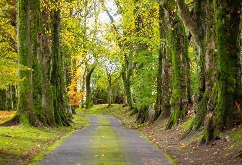 ベッドアンドブレックファースト Park Of Drumquhassle