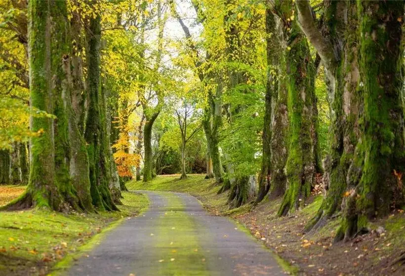 تختخواب و صبحانه Park Of Drumquhassle