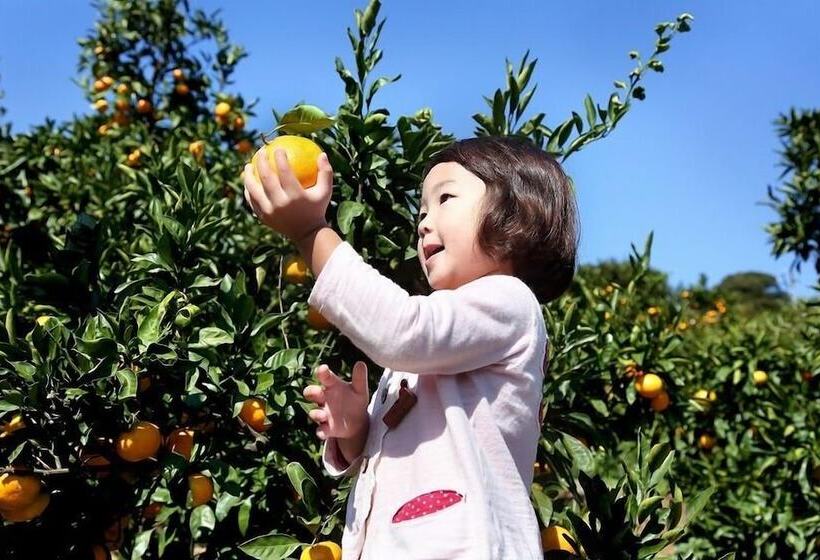 فندق New Port Yokosuka