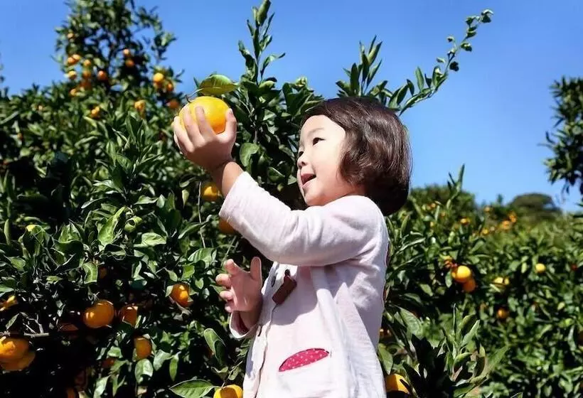 Hotelli New Port Yokosuka