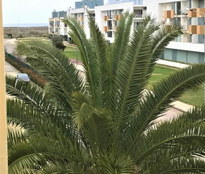 بنسيون Sun & Sea, Meia Praia