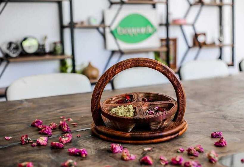 Rosa Therapy Butik Otel