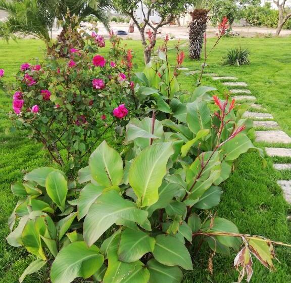 צימר Il Giardino Dei Tramonti