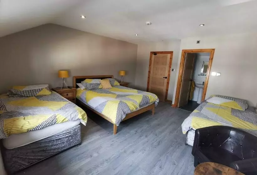 Aamiaismajoitus (B&B) The Swan Inn