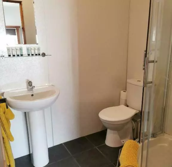 Aamiaismajoitus (B&B) The Swan Inn