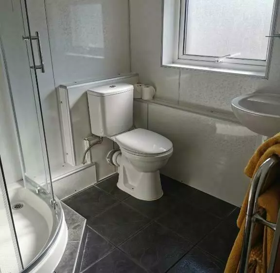 Aamiaismajoitus (B&B) The Swan Inn