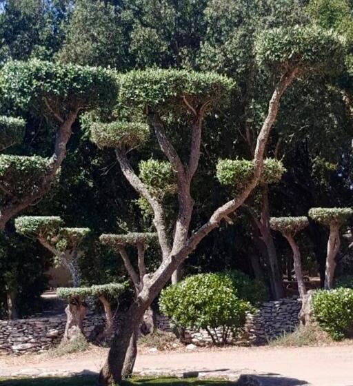 אתר נופש Les Suites De Pertamina