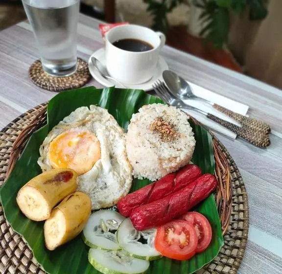 هاستل Intoy S Place