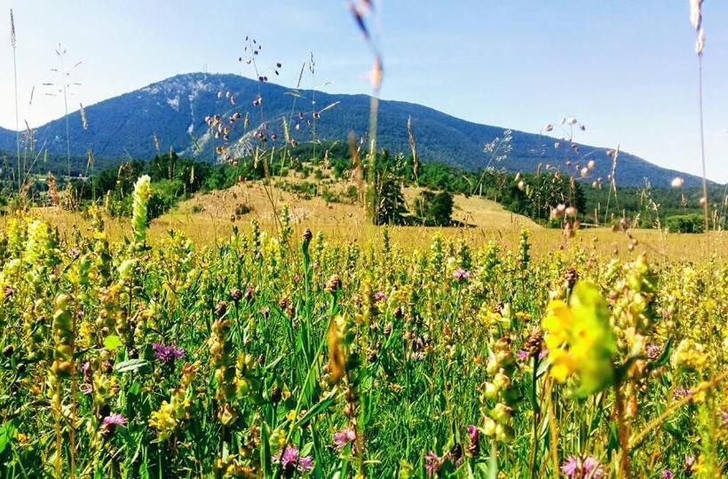 住宿加早餐 Clos De L Artuby