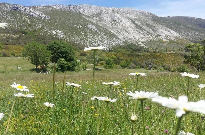 住宿加早餐 Clos De L Artuby