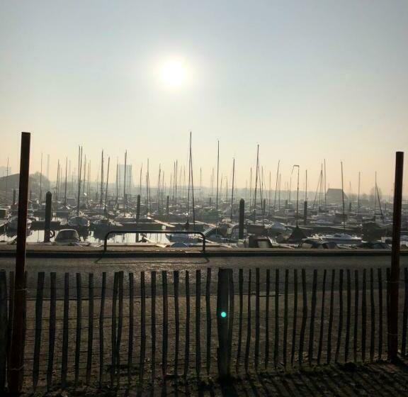 Bed And Breakfast De Biesbosch In T Riet