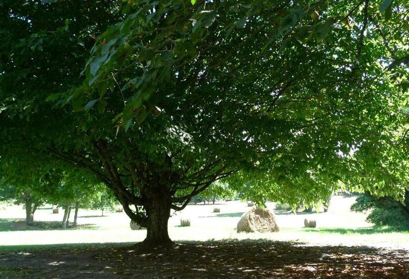 تختخواب و صبحانه Hôtes De Montboulan