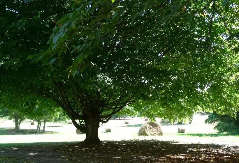 Aamiaismajoitus (B&B) Hôtes De Montboulan