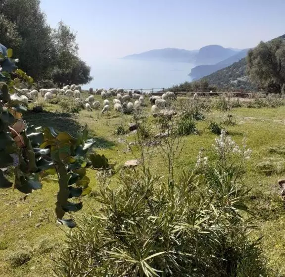هتل Agriturismo Codula Fuili
