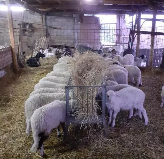 هتل Agriturismo Codula Fuili