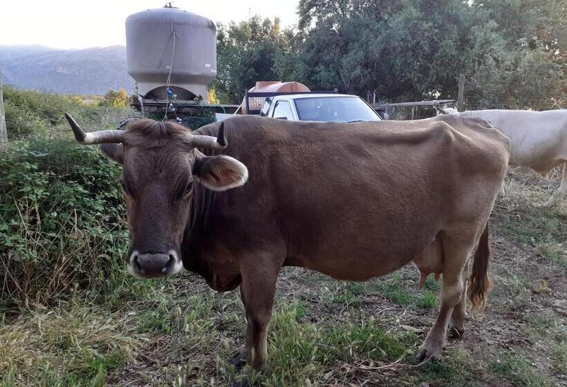 בית מלון כפרי Agriturismo Codula Fuili